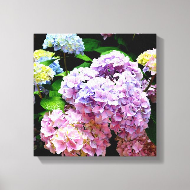Hydrangea garden, pink, blue, purple floral canvas print (Front)