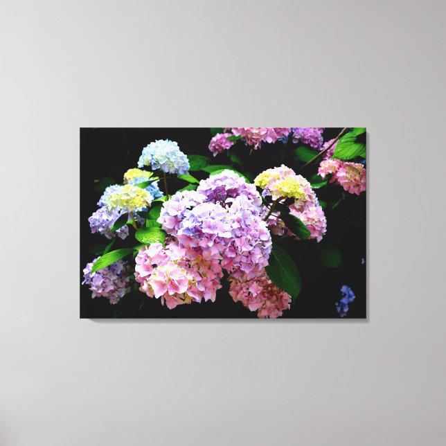 Hydrangea garden, pink, blue, purple floral canvas print (Front)