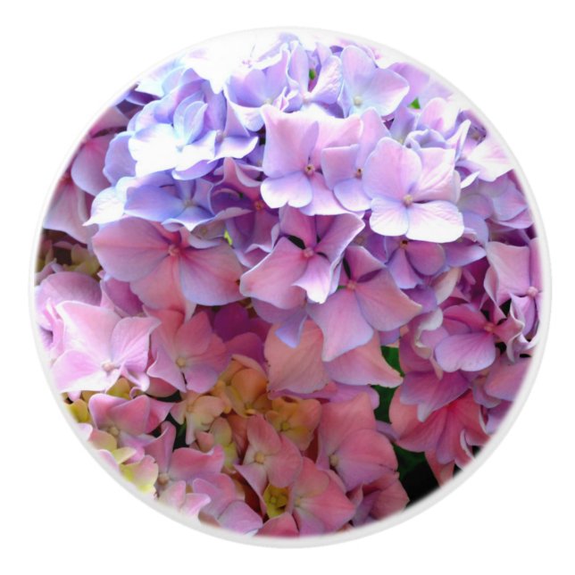 Hydrangea garden, pink, blue, purple floral ceramic knob (Front)
