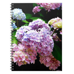Hydrangea garden, pink, blue, purple floral notebook