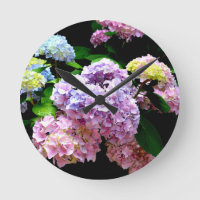 Hydrangea garden, pink, blue, purple floral