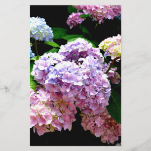 Hydrangea garden, pink, blue, purple floral stationery