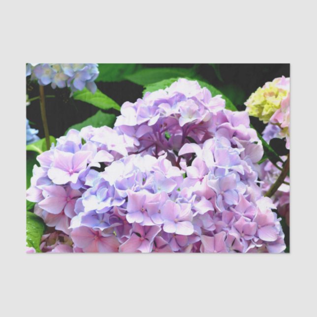 Hydrangea garden, pink, blue, purple floral tissue paper (Front)