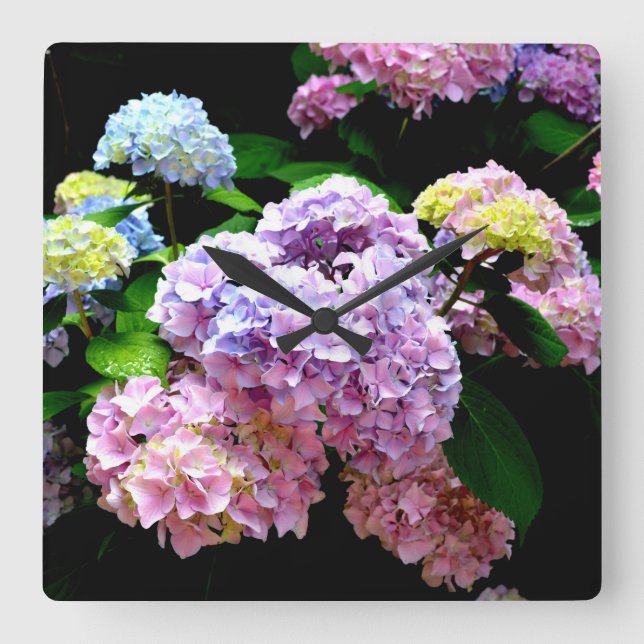 Hydrangea Garden Square Wall Clock (Front)