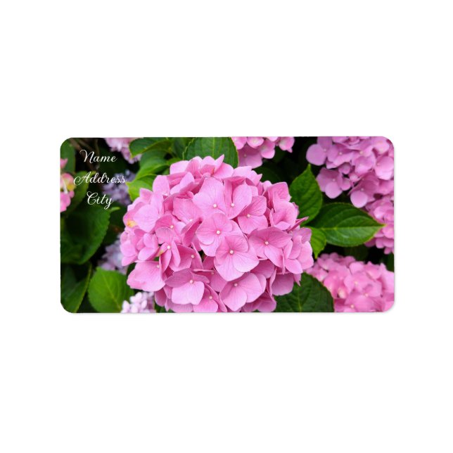 Hydrangea Garden Walk Label (Front)
