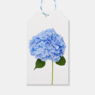 Hydrangea Gift Tags