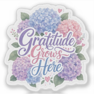 Hydrangea : Gratitude Grows Here