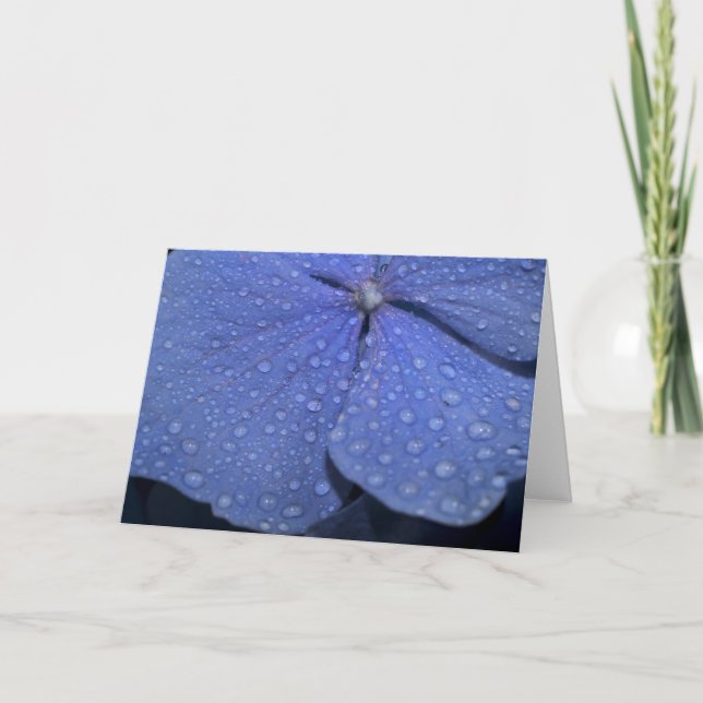 Hydrangea Greeting Card (Front)