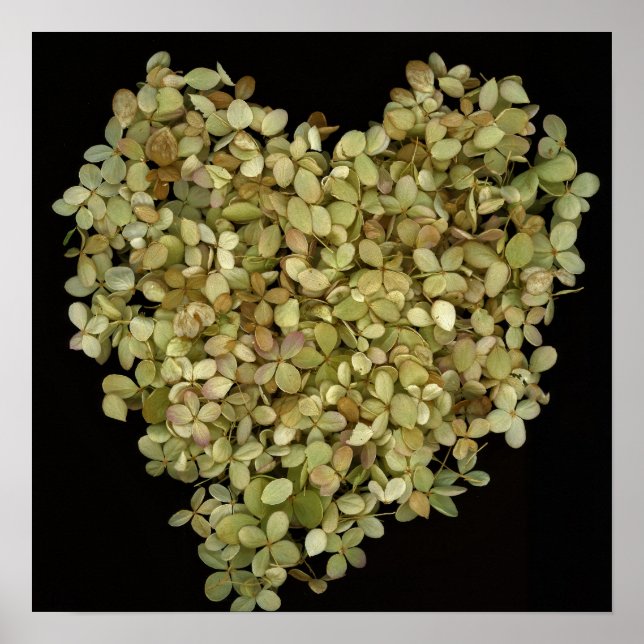 Hydrangea Heart Botanical Poster |Lovely2 (Front)