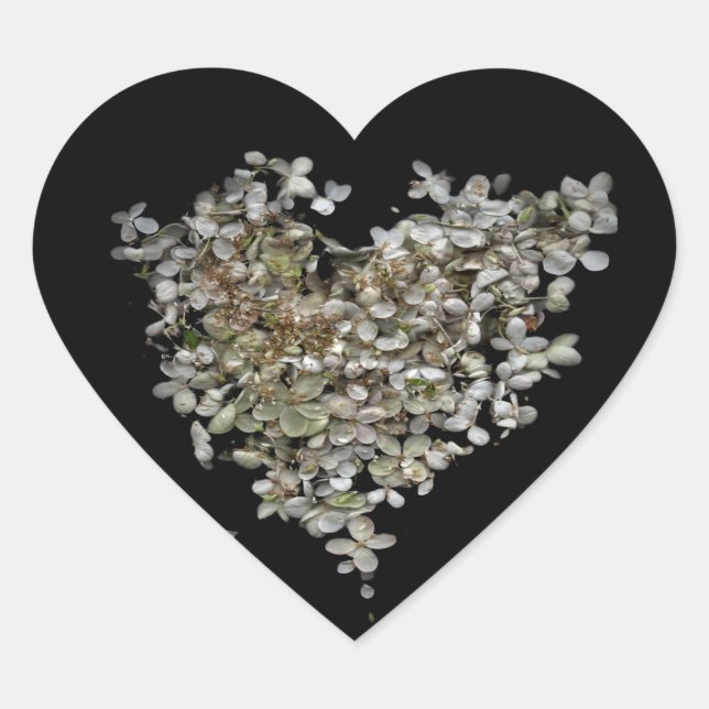 Hydrangea Heart Botanical Scanography Sticker (Front)