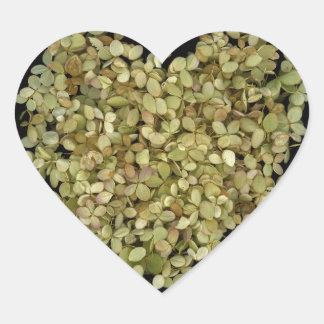 Hydrangea Heart Botanical Sticker |Lovely2