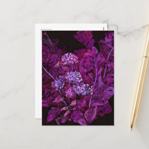 Hydrangea & Horseradish Floral Art Black Purple Holiday Postcard