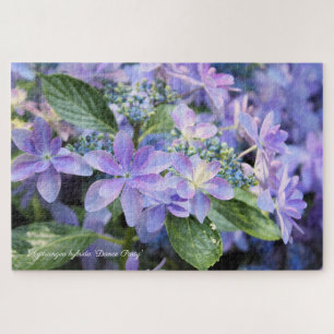 Hydrangea hybrida 'Dance Party'  [Jigsaw puzzle] Jigsaw Puzzle