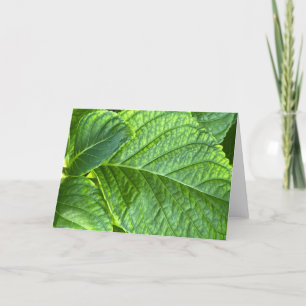 Hydrangea Leaves Close-Up Blank Note Card
