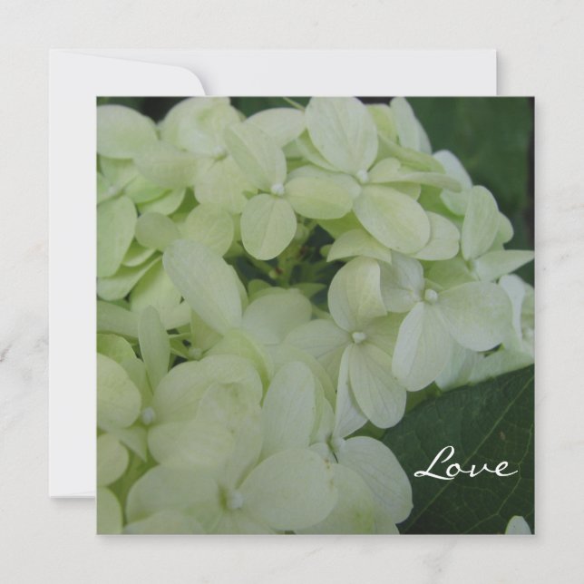Hydrangea Love Invitation (Front)