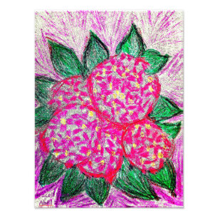 Hydrangea macrophylla photo print