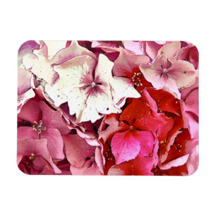 HYDRANGEA MAGNET