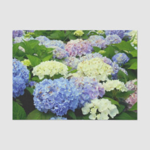 Hydrangea Mix-TISSUE WRAPPING PAPER