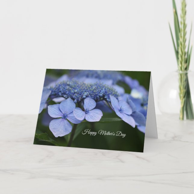 Hydrangea Mother's Day Card (Front)