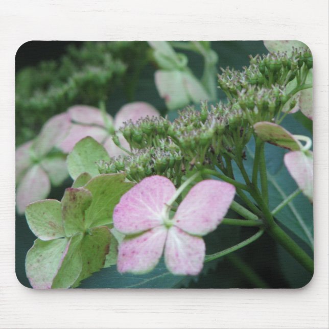 hydrangea mouse mat (Front)