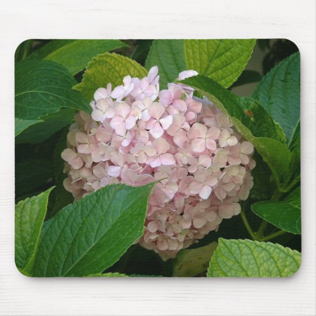 Hydrangea Mouse Mat (Front)
