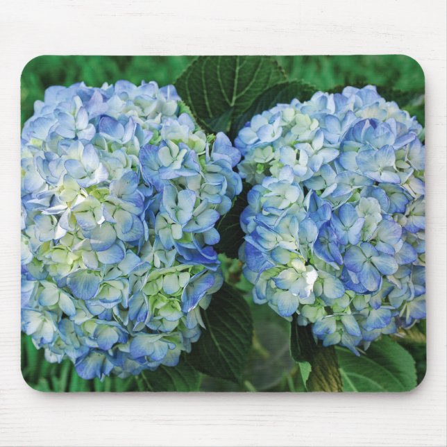 Hydrangea Mouse Mat (Front)