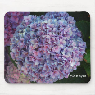 Hydrangea Mouse Mat