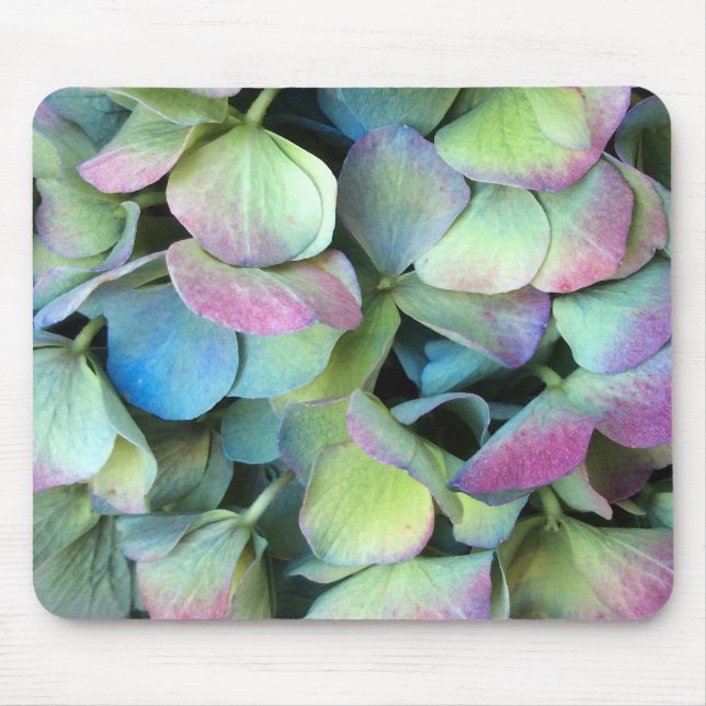 HYDRANGEA  Multi-colour petals --- Mouse Mat (Front)