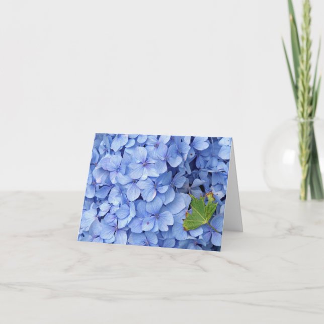 Hydrangea Note Card (Front)