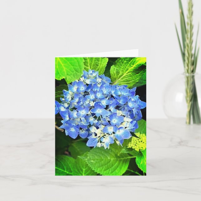 Hydrangea Note Card (Front)