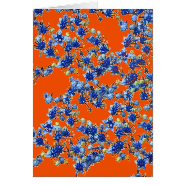 hydrangea orange and blue (Front)