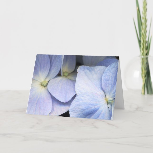 Hydrangea Petals Greeting Card (Front)
