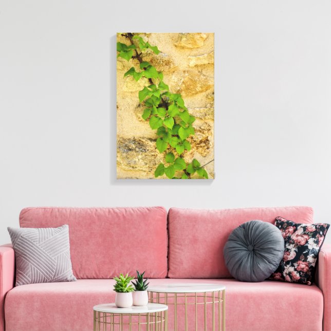 Hydrangea petiolaris canvas print (Insitu(LivingRoom))