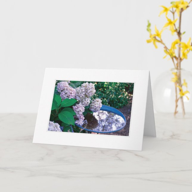 Hydrangea Photo Card (Yellow Flower)