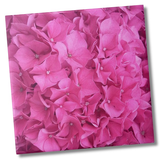 Hydrangea Pink Flower Pattern Tile (Trendy Bright Magenta Pink Hydrangea Flower Floral Ceramic Tile)