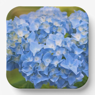 Hydrangea Plates Party