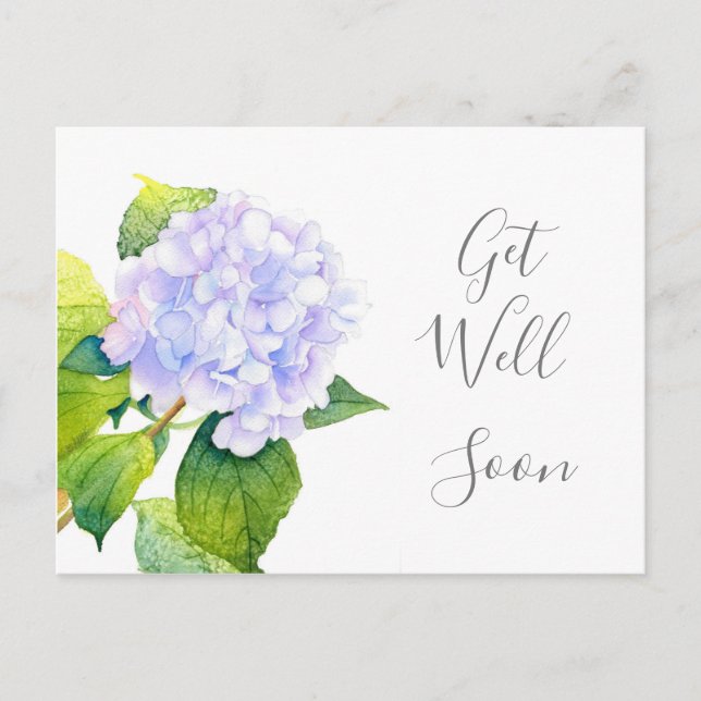 Hydrangea Postcard (Front)