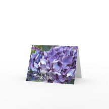 Hydrangea Purple Flower