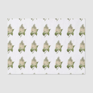 Hydrangea Tissue Paper