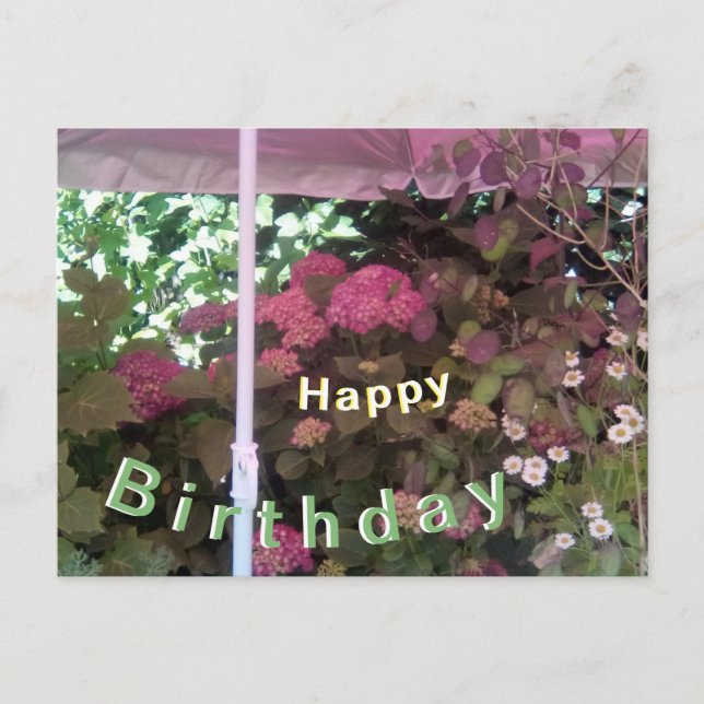 Hydrangea under Sunshade Happy Birthday Postcard (Front)