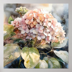 Hydrangea Watercolor Art Print
