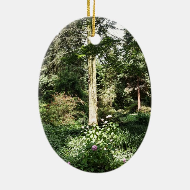 Hydrangea Wood Trees Nature Photography Ceramic Tree Decoration (Back)