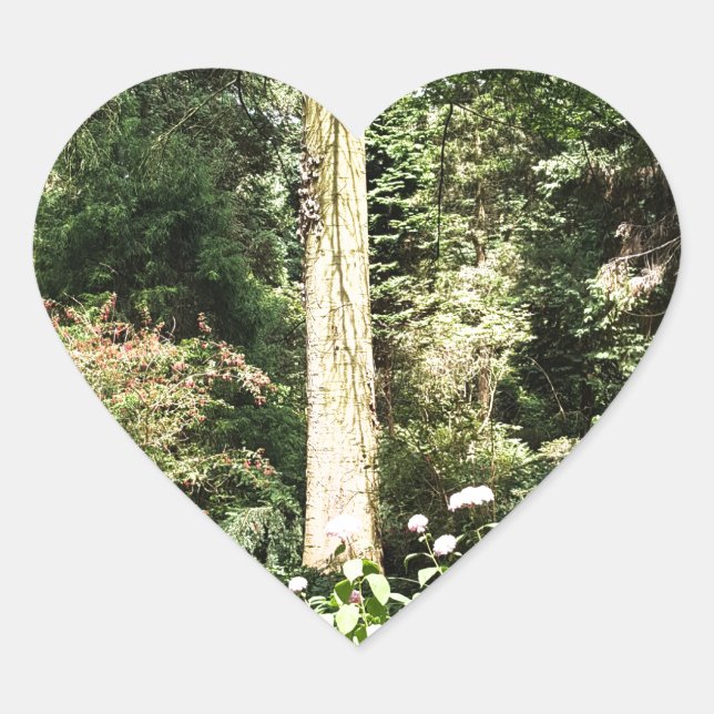 Hydrangea Wood Trees Nature Photography Heart Sticker (Front)