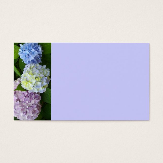 Hydrangeas (Front)