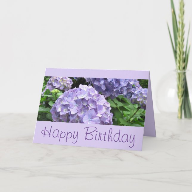 Hydrangeas at Trebah Gardens, Cornwall Card (Front)