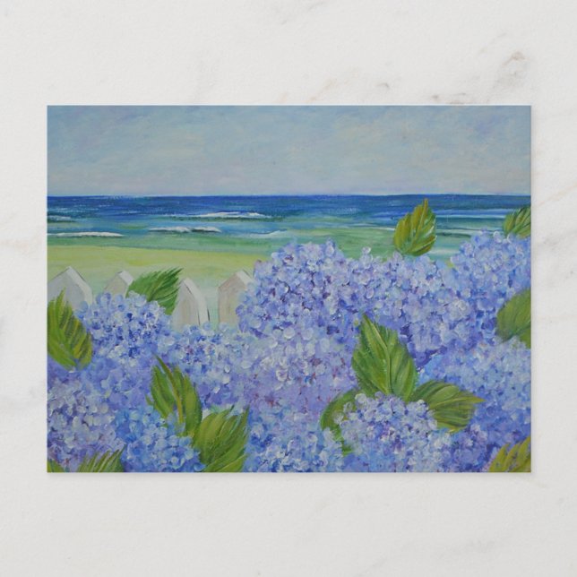 Hydrangeas By The Sea Postcard (Front)