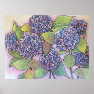 Hydrangeas CANVAS PRINT