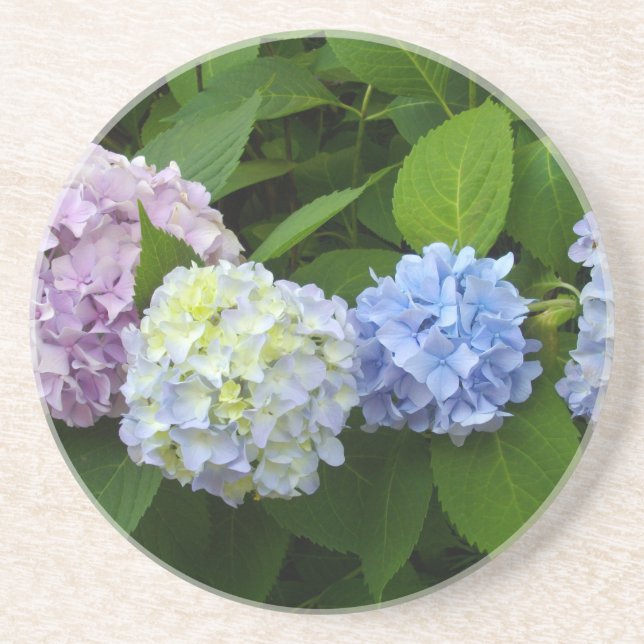 Hydrangeas Coaster (Front)