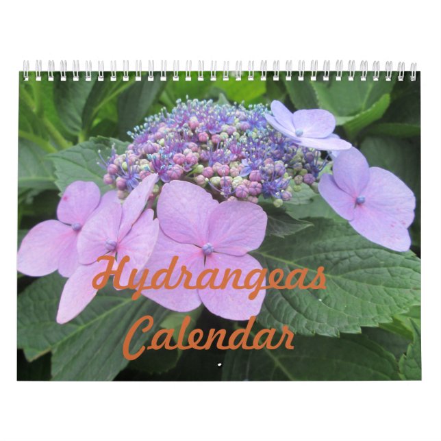 Hydrangeas Customisable Flower Calendar (Cover)
