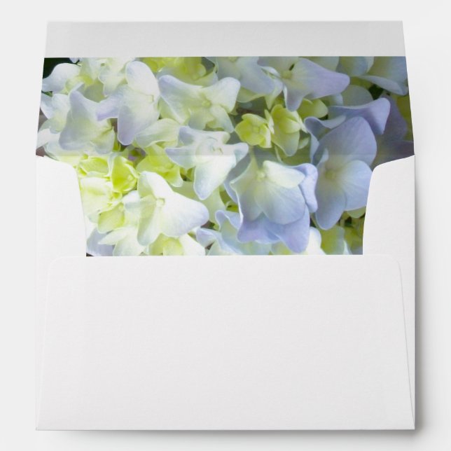 Hydrangeas Envelopes (Back (Bottom))